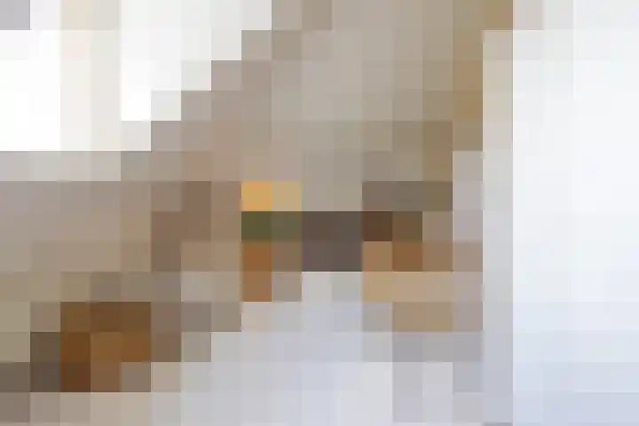 Jericholaan 86 B 01 Rotterdam thumbnail 26