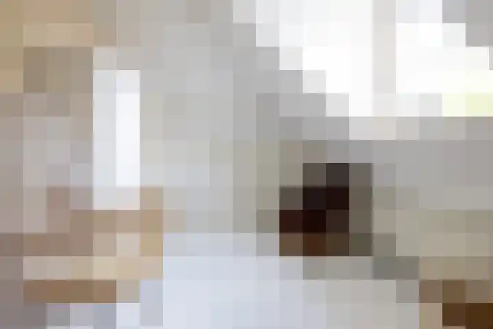 Jericholaan 86 B 01 Rotterdam thumbnail 27