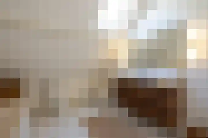 Jericholaan 86 B 01 Rotterdam thumbnail 30