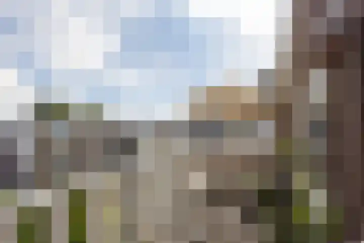 Jericholaan 86 B 01 Rotterdam thumbnail 36