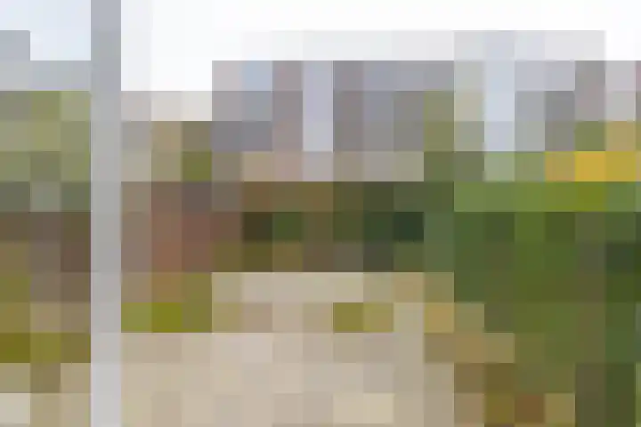 Jericholaan 94 B Rotterdam thumbnail 16