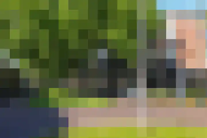 Jericholaan 94 B Rotterdam thumbnail 18