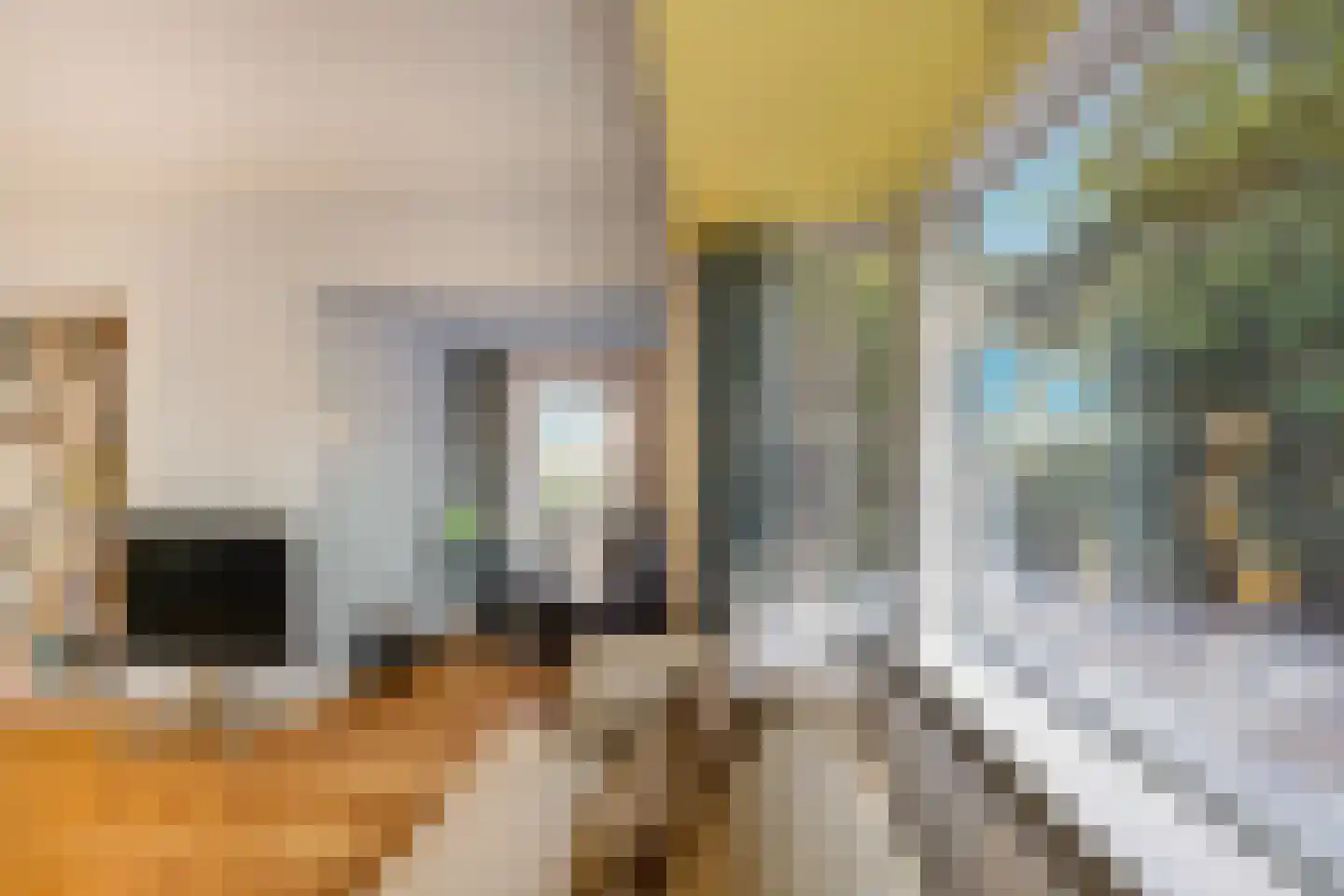 Jeroen Boschlaan 1 Rotterdam thumbnail 14