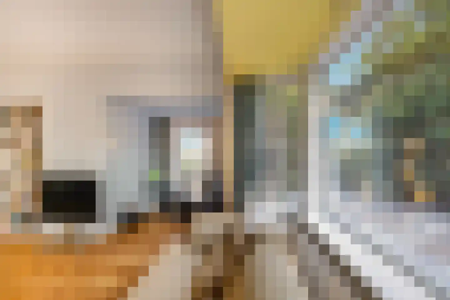 Jeroen Boschlaan 1 Rotterdam thumbnail 14