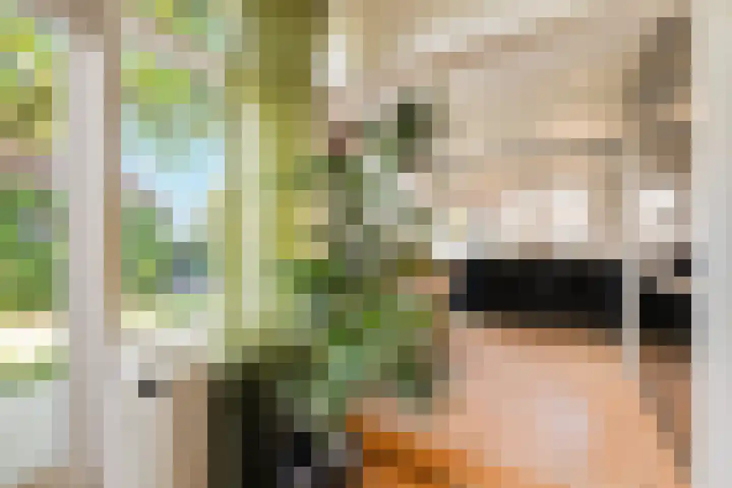 Jeroen Boschlaan 1 Rotterdam thumbnail 18