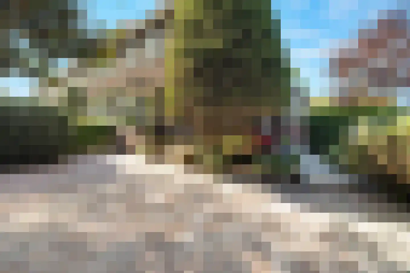 Jeroen Boschlaan 1 Rotterdam thumbnail 4