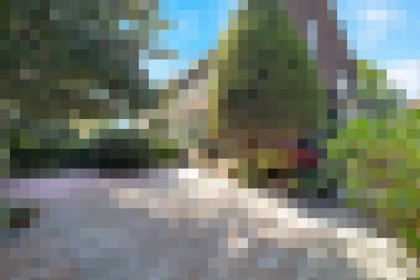 Jeroen Boschlaan 1 Rotterdam thumbnail 46
