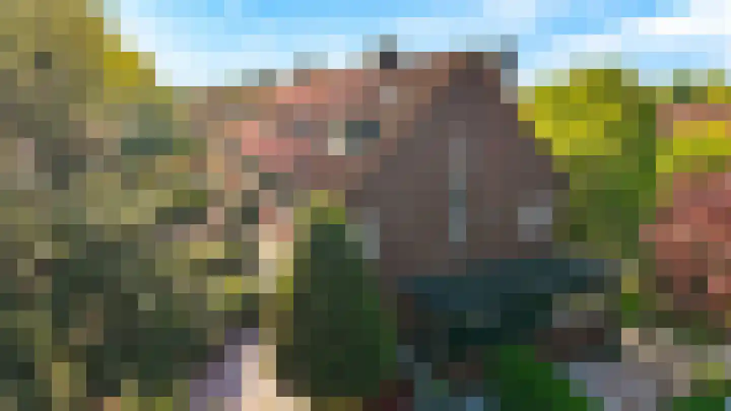 Jeroen Boschlaan 1 Rotterdam thumbnail 48