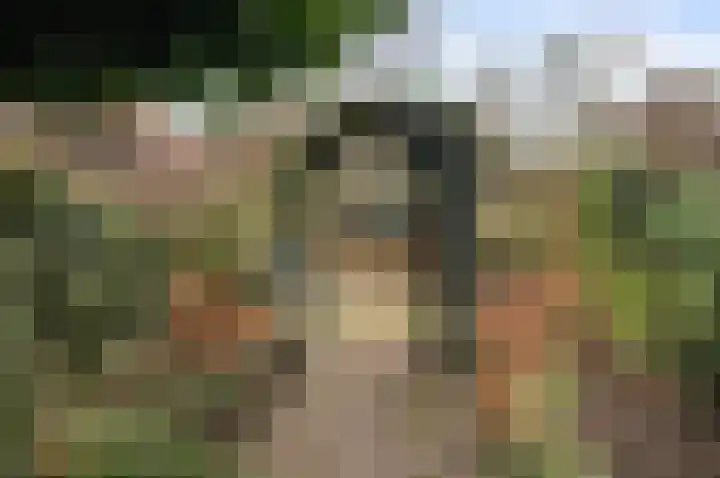 Jeroen Boschlaan 10 Rotterdam thumbnail 10