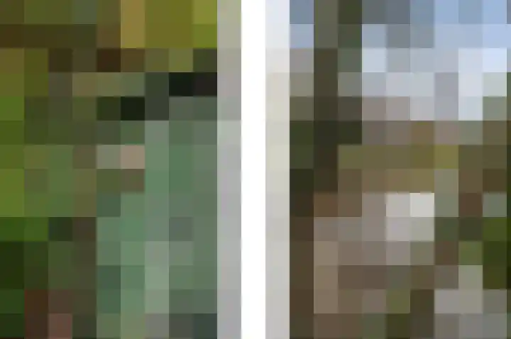 Jeroen Boschlaan 10 Rotterdam thumbnail 11