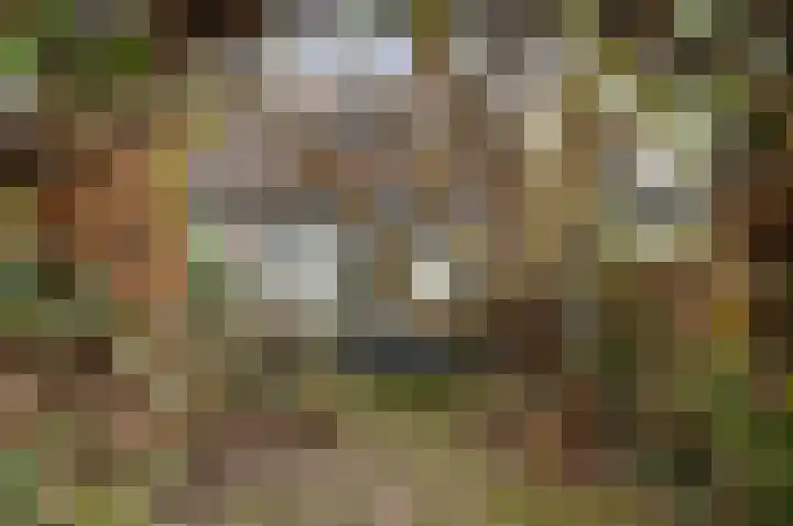 Jeroen Boschlaan 10 Rotterdam thumbnail 12