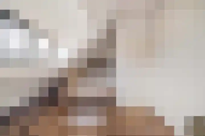 Jeroen Boschlaan 10 Rotterdam thumbnail 20
