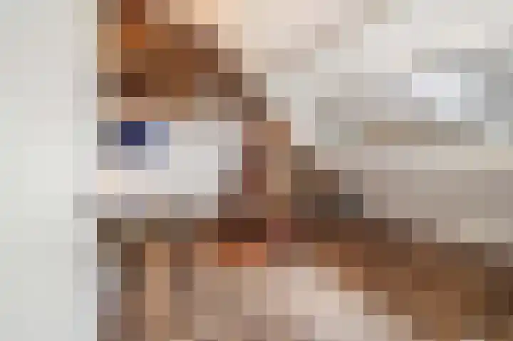 Jeroen Boschlaan 10 Rotterdam thumbnail 22