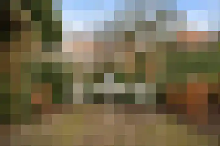 Jeroen Boschlaan 10 Rotterdam thumbnail 25