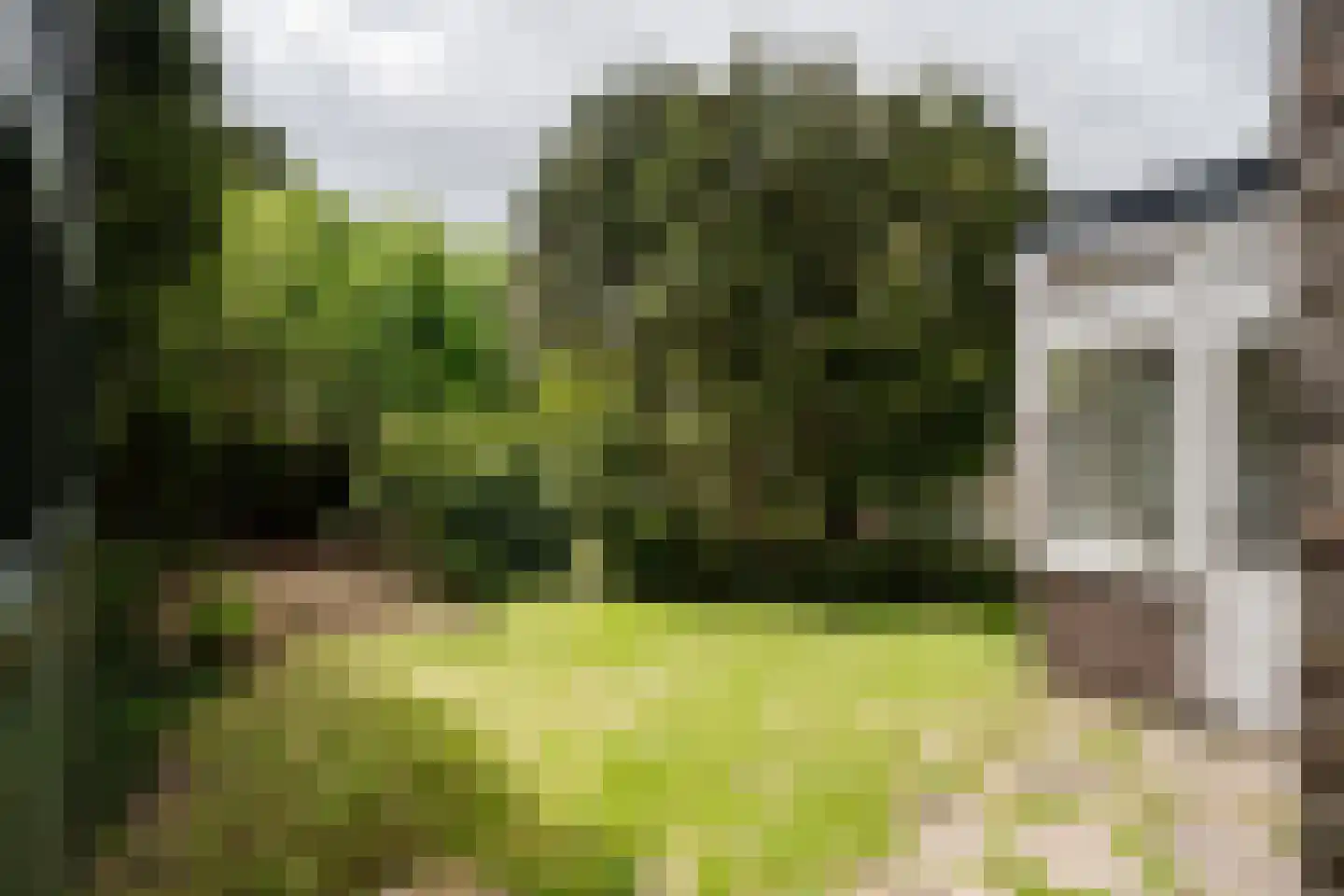 Jeroen Boschlaan 12 Heemstede thumbnail 32