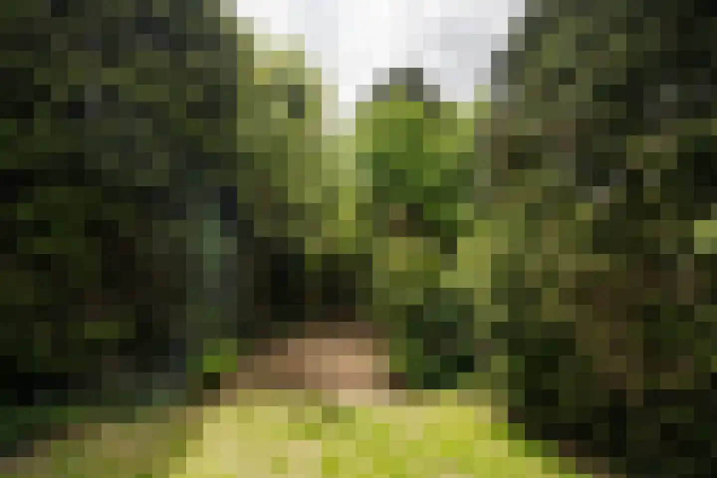 Jeroen Boschlaan 12 Heemstede thumbnail 33