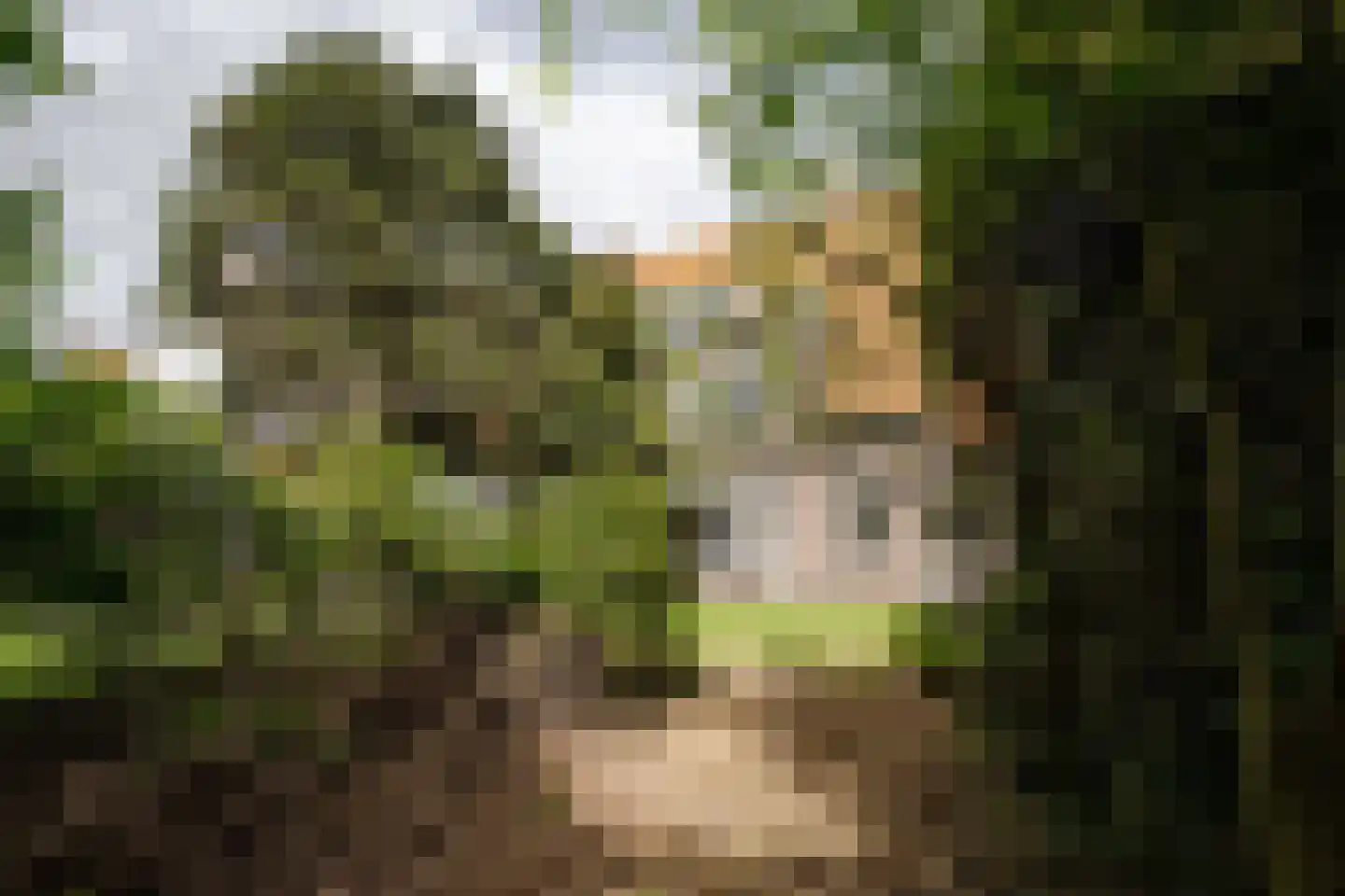 Jeroen Boschlaan 12 Heemstede thumbnail 34