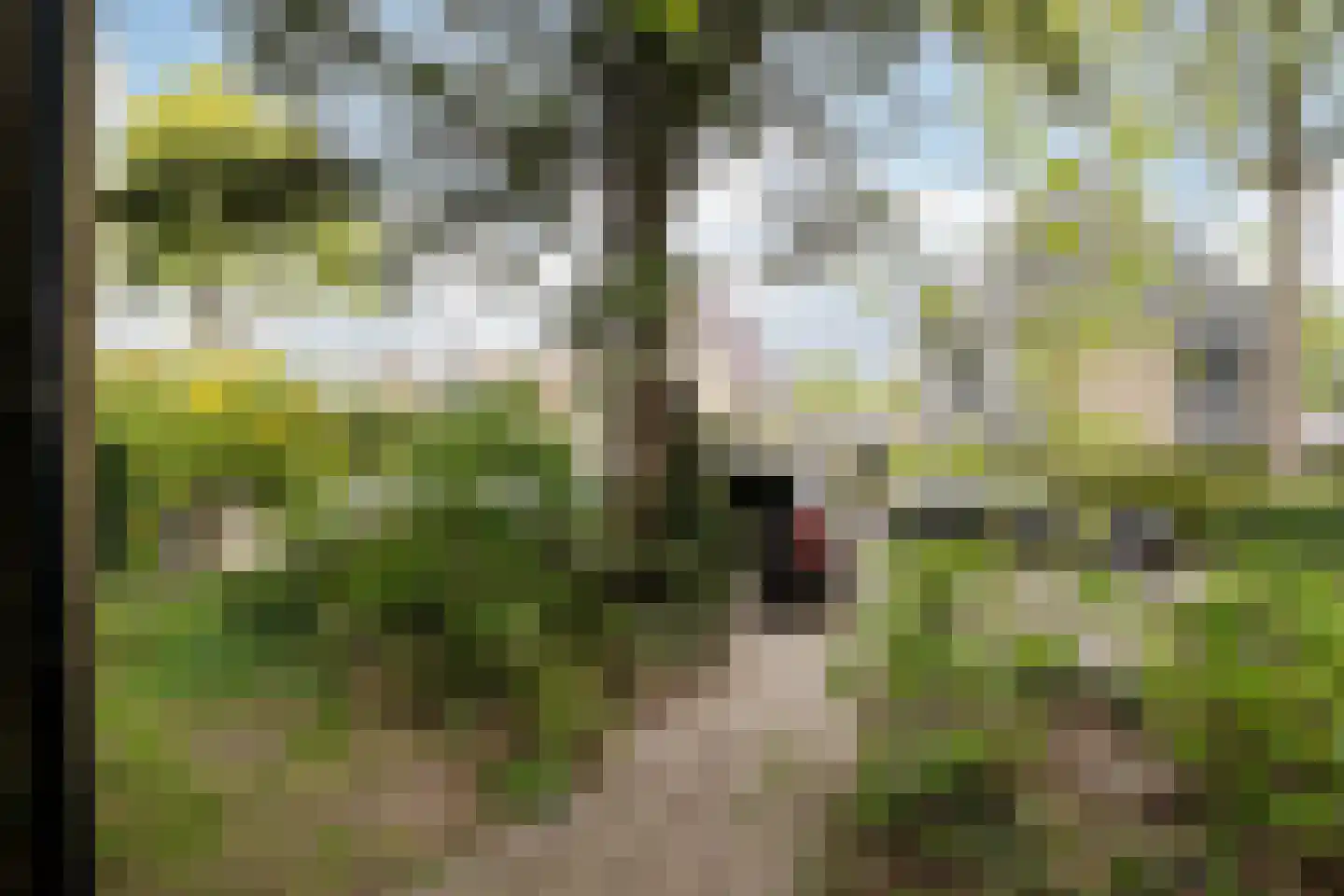 Jeroen Boschlaan 12 Heemstede thumbnail 59