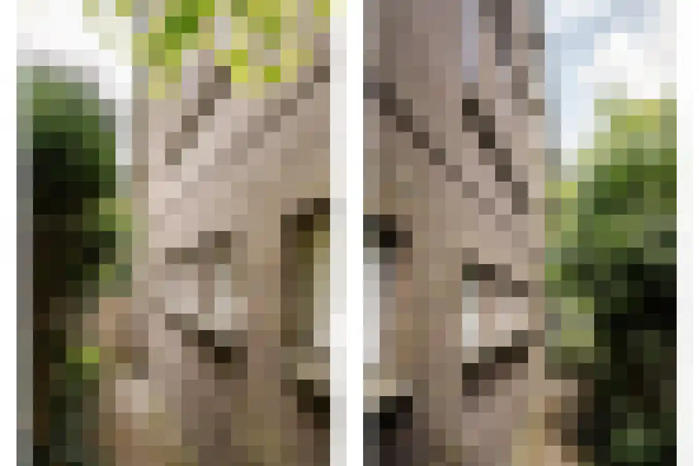 Jeroen Boschlaan 12 Heemstede thumbnail 60