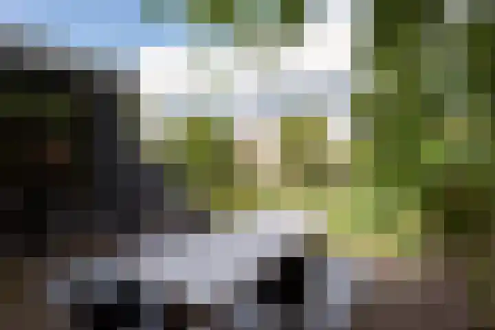 Jeroen Boschlaan 12 Rotterdam thumbnail 14