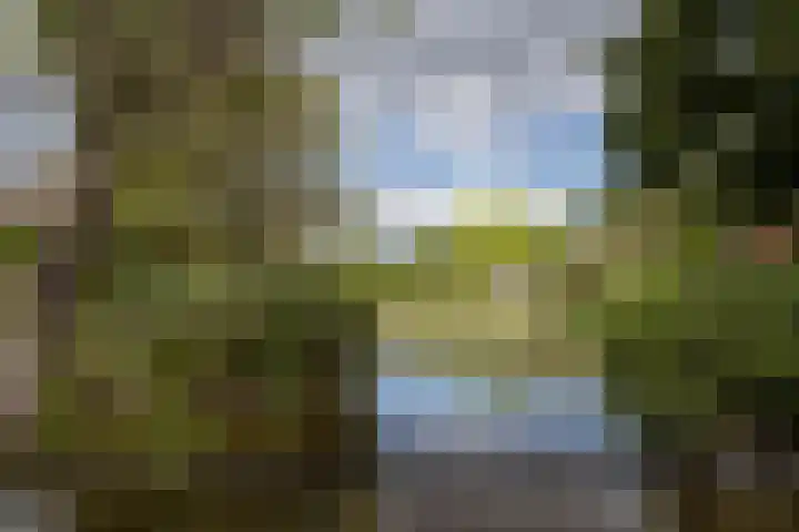 Jeroen Boschlaan 12 Rotterdam thumbnail 15