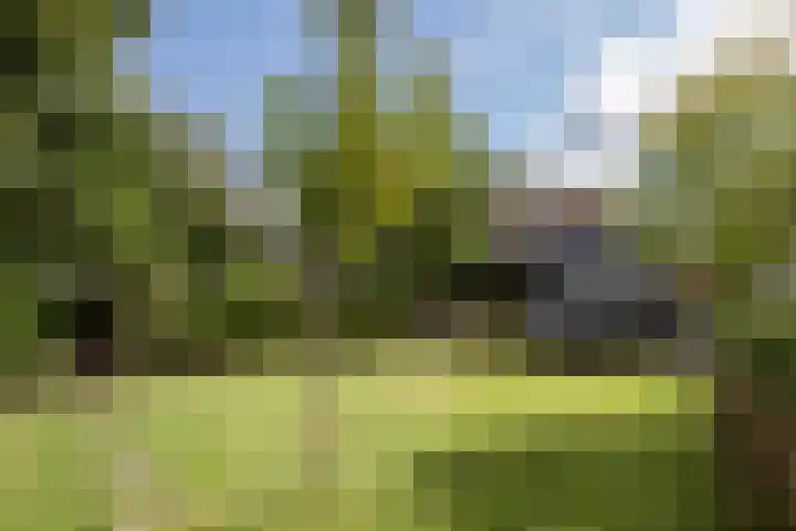 Jeroen Boschlaan 12 Rotterdam thumbnail 16