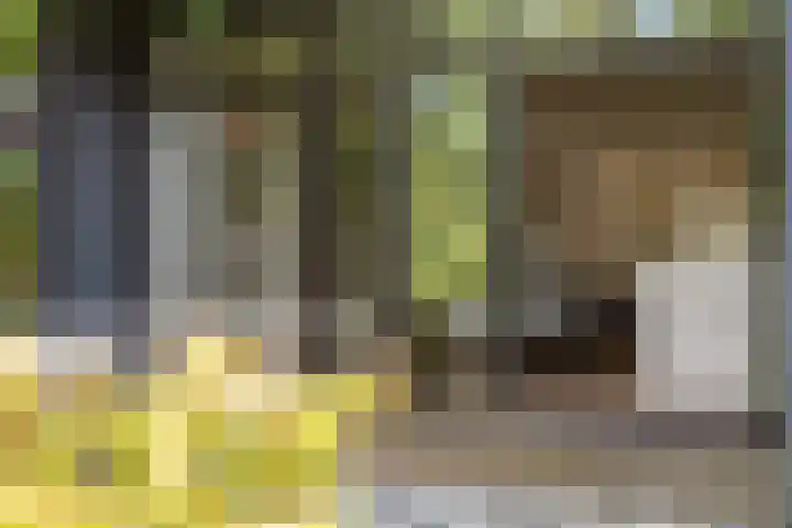 Jeroen Boschlaan 12 Rotterdam thumbnail 17