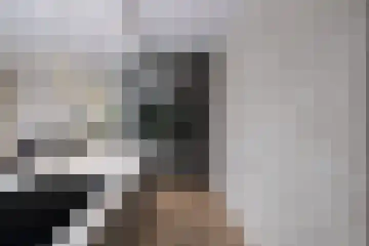 Jeroen Boschlaan 12 Rotterdam thumbnail 18