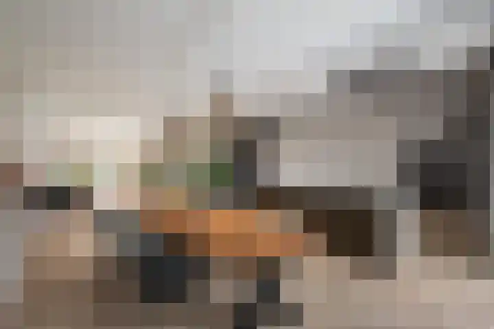 Jeroen Boschlaan 12 Rotterdam thumbnail 19