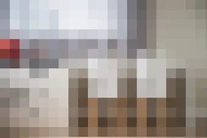 Jeroen Boschlaan 12 Rotterdam thumbnail 30