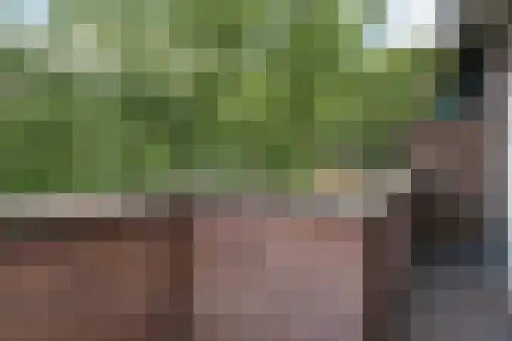 Jeroen Boschlaan 12 Rotterdam thumbnail 32