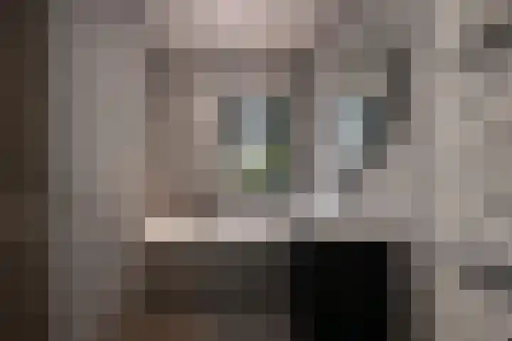 Jeroen Boschlaan 12 Rotterdam thumbnail 34