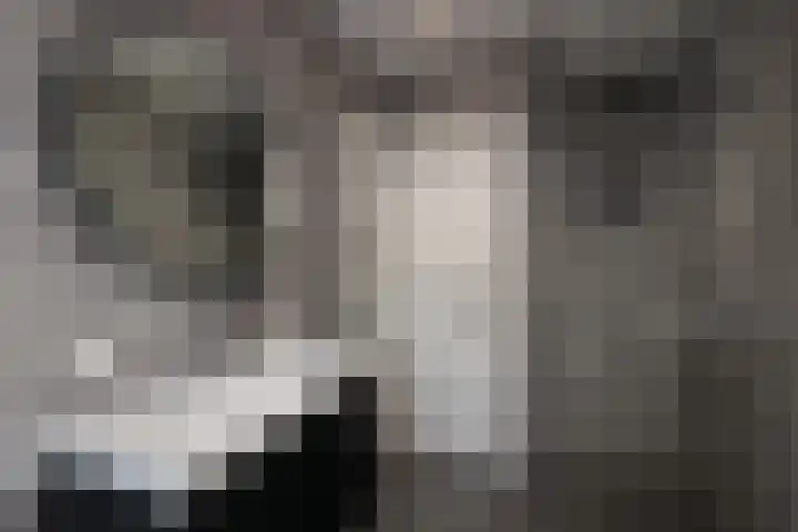 Jeroen Boschlaan 12 Rotterdam thumbnail 35