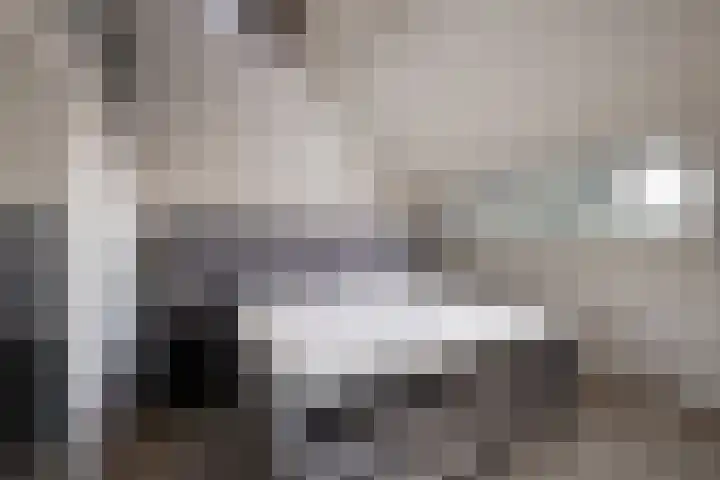 Jeroen Boschlaan 12 Rotterdam thumbnail 38