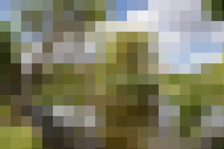 Jeroen Boschlaan 12 Rotterdam thumbnail 4