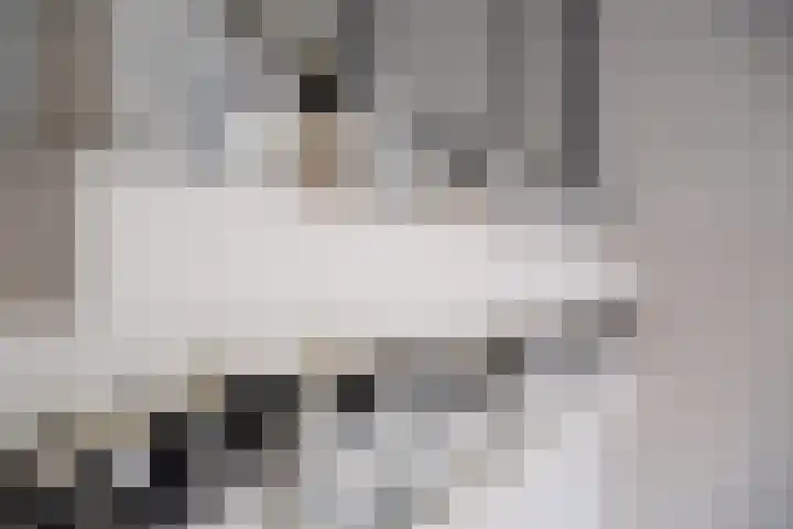 Jeroen Boschlaan 12 Rotterdam thumbnail 40