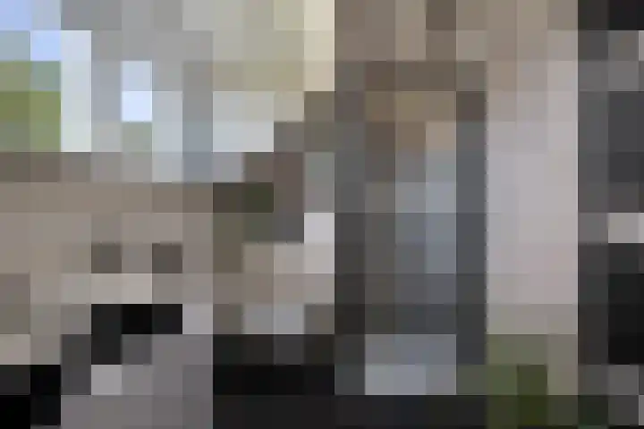 Jeroen Boschlaan 12 Rotterdam thumbnail 41