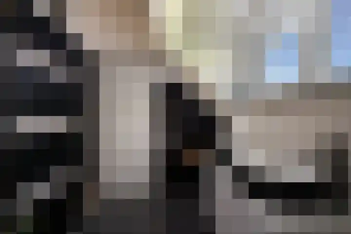 Jeroen Boschlaan 12 Rotterdam thumbnail 42