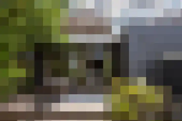 Jeroen Boschlaan 12 Rotterdam thumbnail 44