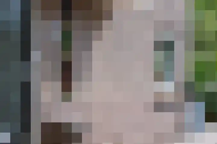 Jeroen Boschlaan 12 Rotterdam thumbnail 5