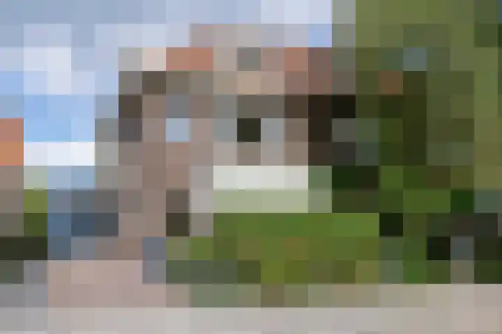 Jeroen Boschlaan 12 Rotterdam thumbnail 50