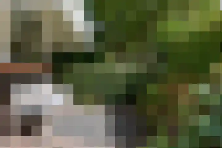 Jeroen Boschlaan 12 Rotterdam thumbnail 6