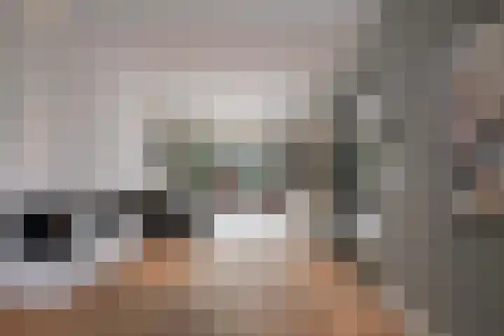 Jeroen Boschlaan 12 Rotterdam thumbnail 8