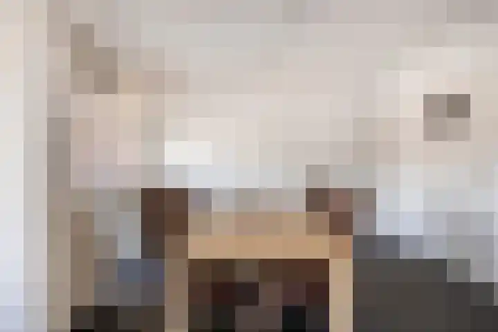 Jeroen Boschlaan 154 Eindhoven thumbnail 10