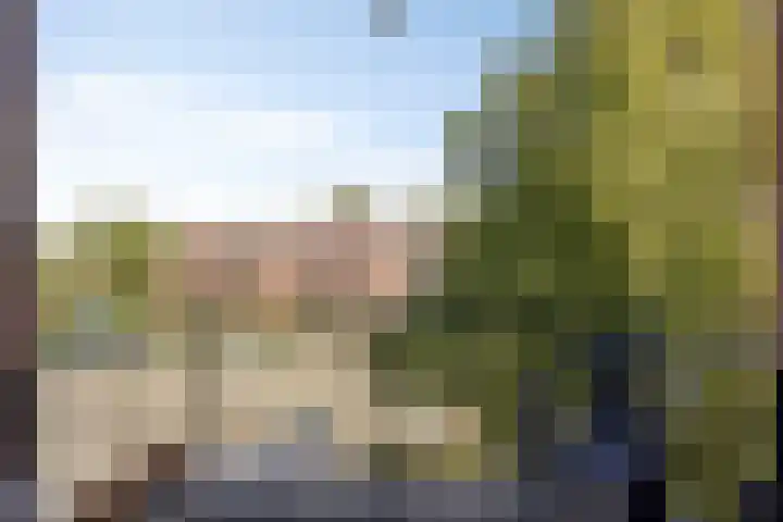 Jeroen Boschlaan 154 Eindhoven thumbnail 11