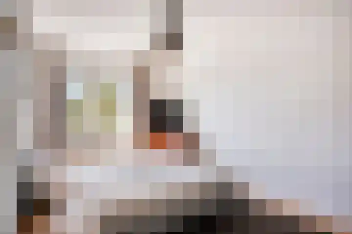 Jeroen Boschlaan 154 Eindhoven thumbnail 14