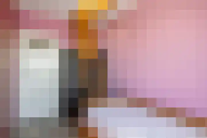 Jeroen Boschlaan 154 Eindhoven thumbnail 16
