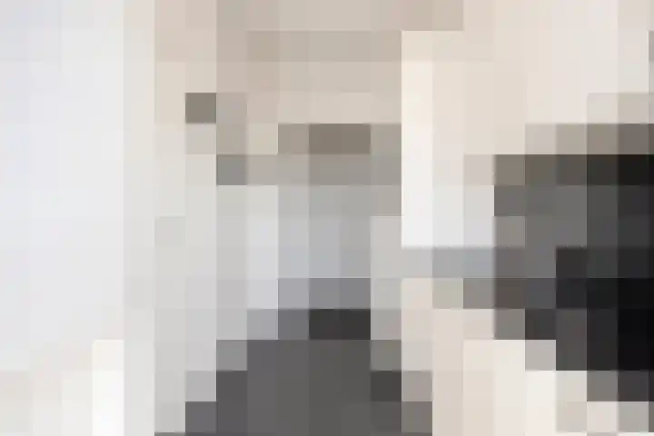 Jeroen Boschlaan 154 Eindhoven thumbnail 18