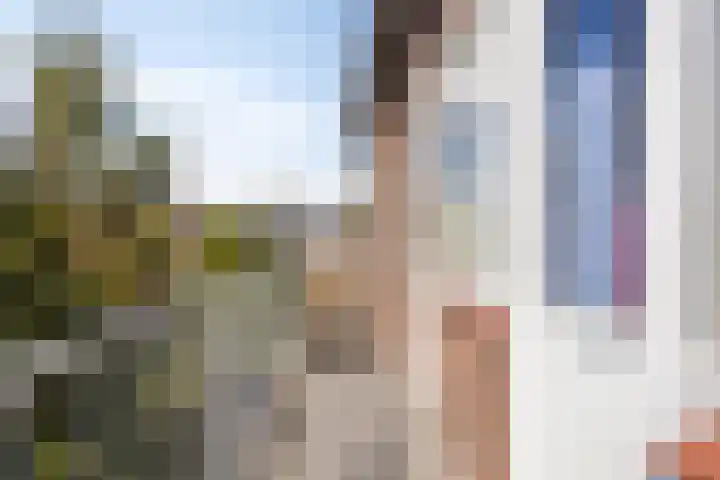 Jeroen Boschlaan 154 Eindhoven thumbnail 20