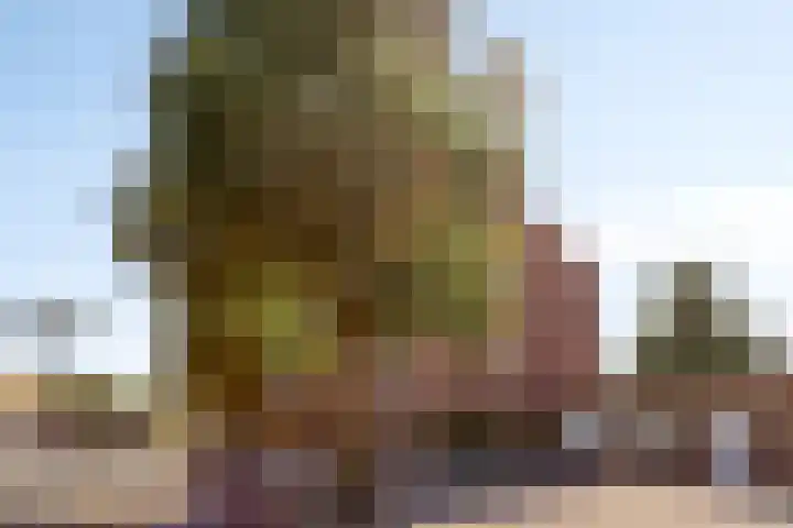 Jeroen Boschlaan 154 Eindhoven thumbnail 23